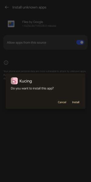 Click to Start Install