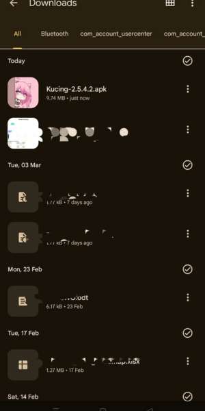 Downloaded apk file in filemanger