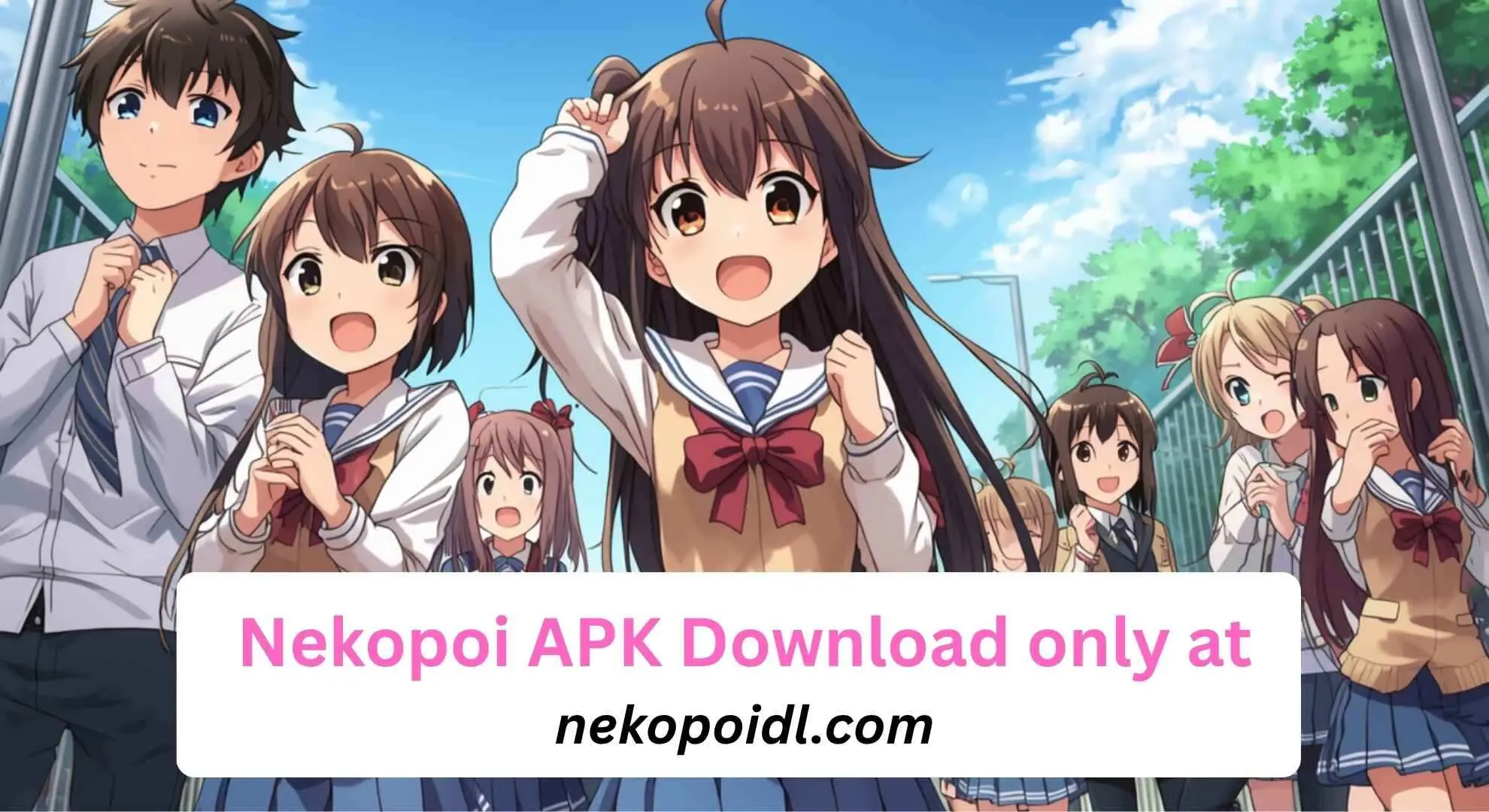 Nekopoi APK Download only at nekopoidl.com